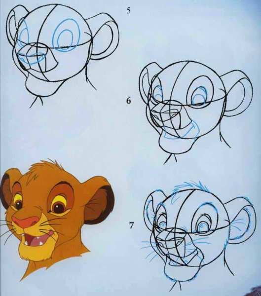 Как нарисовать Симбу из короля Льва поэтапно