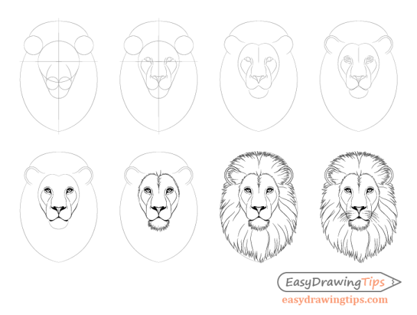 Поэтапное рисование головы Льва