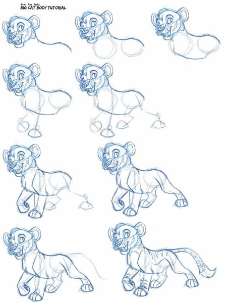 Король Лев анатомия