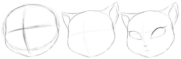 Рисовать кошку Анжелу