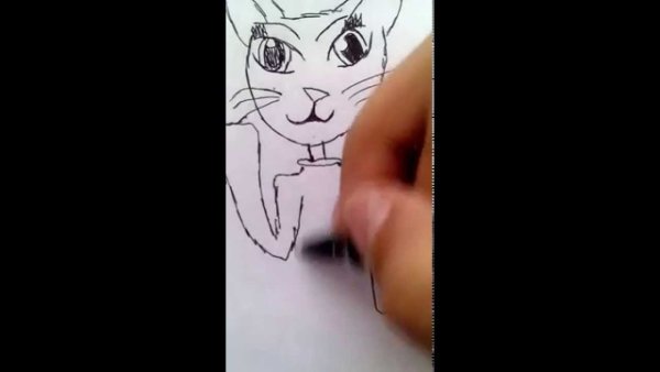 Рисунки для срисовки Анжелы