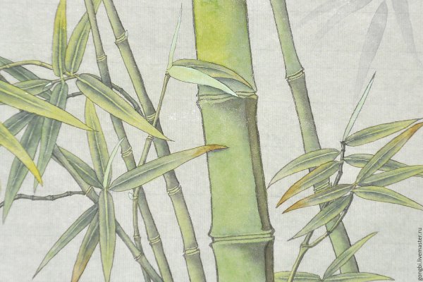 Бамбук гунби