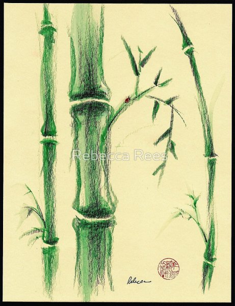 Нарисовать бамбук карандашом