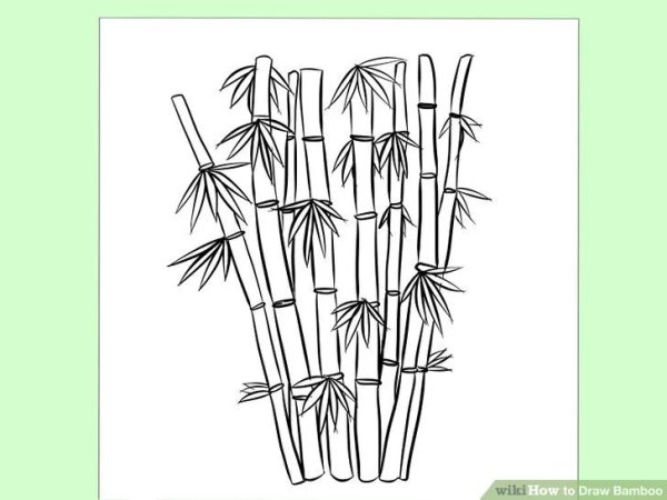 Бамбук раскраска