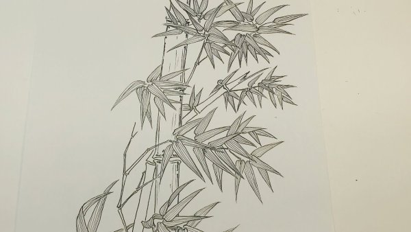 Тростник скетч