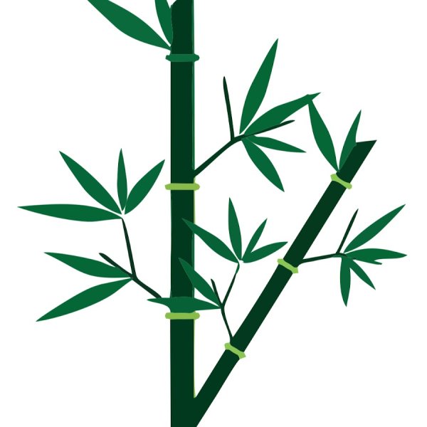 Бамбук для детей