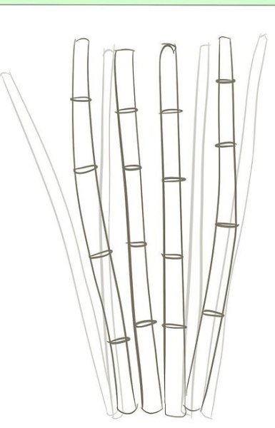 Бамбук рисунок поэтапно