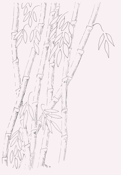 Бамбук гелевой ручкой