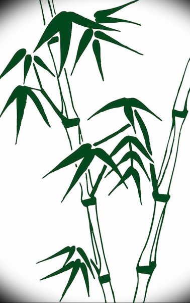 Трафарет лист бамбука