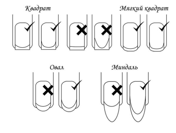 Рисование пуделя
