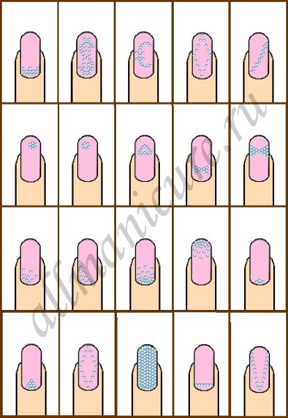 Пудель эскиз