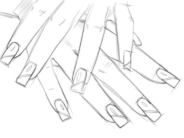 Поэтапный рисунок пуделя