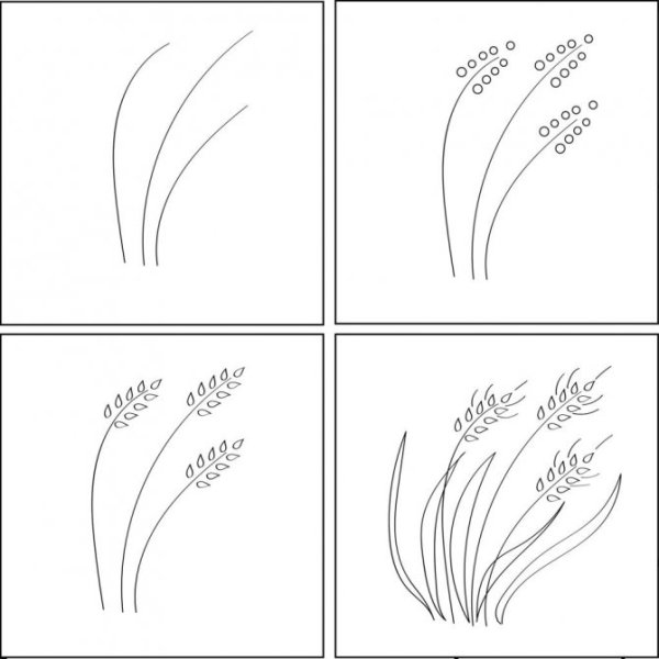 Пудель рисунок карандашом поэтапно