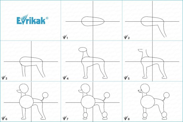 Рисование пуделя