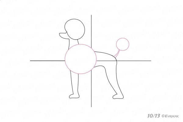 Пудель рисунок пошагово