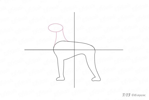 Пудель рисунок карандашом для начинающих поэтапно