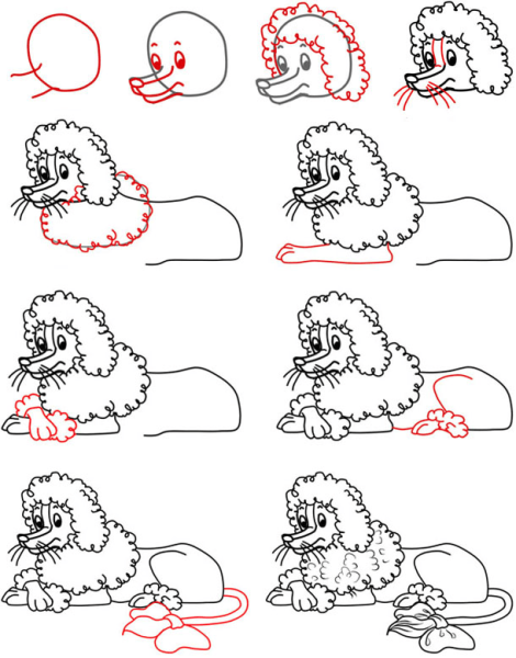 Пудель поэтапное рисование