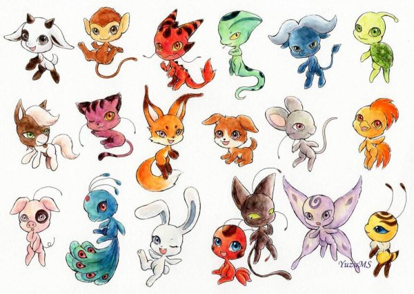 КВАМИ Зигги