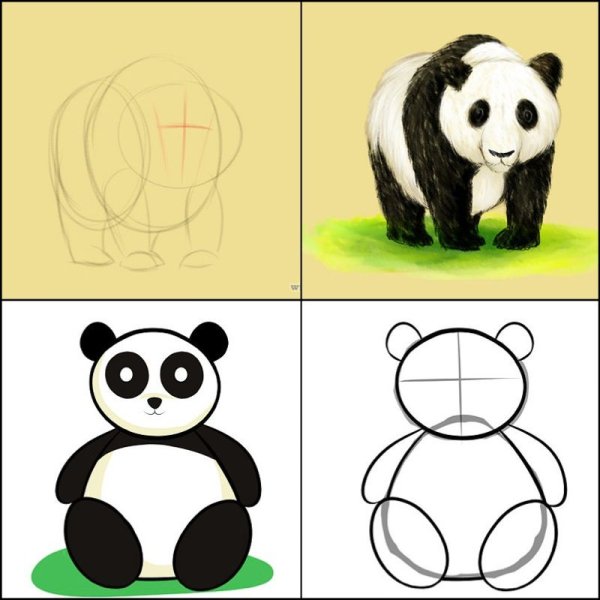 Киви карандашом