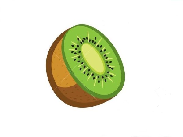 Киви рисунок для детей