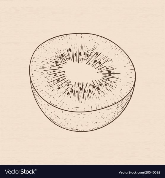 Киви зарисовка