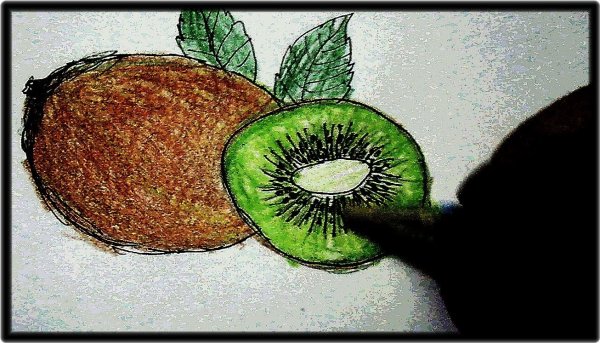 Киви фрукт нарисовать