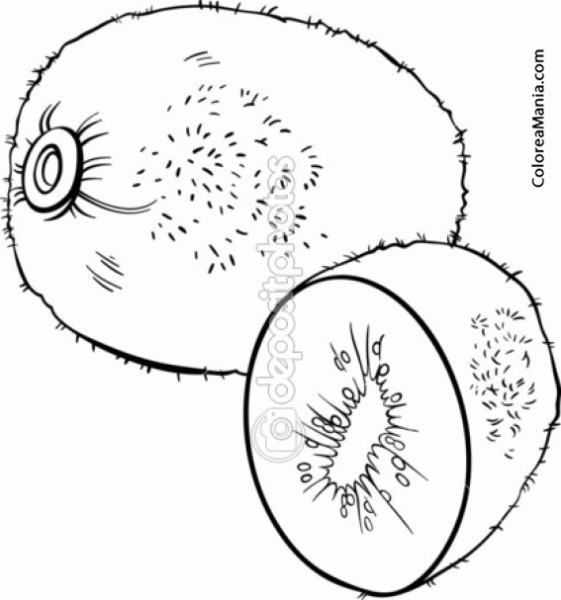 Киви раскраска