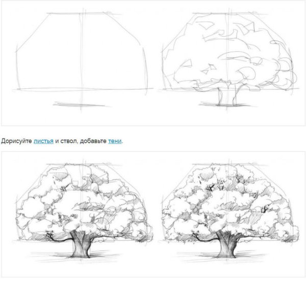 Поэтапный рисунок дракона