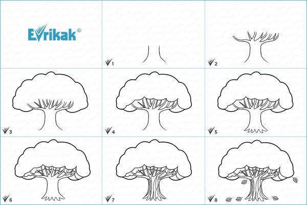 Дракон рисунок карандашом для начинающих
