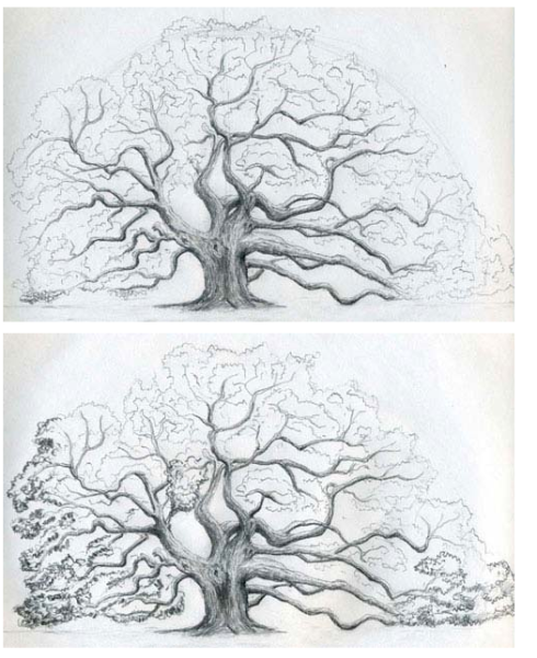 Дракон для рисования для детей