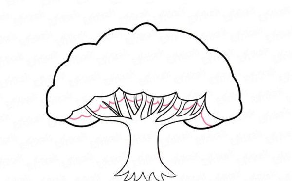 Как нарисовать беззубку поэтапно