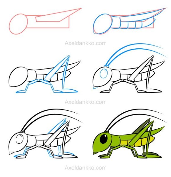 Кузнечик рисунок для детей поэтапно