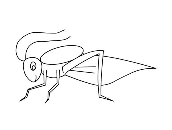 Поэтапное рисование кузнечика для дошкольников