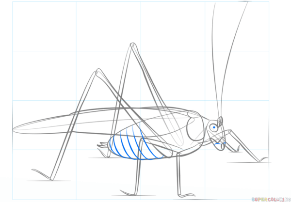 Как нарисовать кузнечика