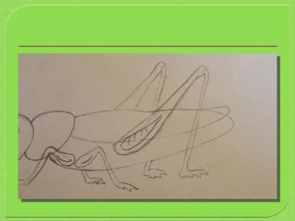 Кузнечик рисование пошагово