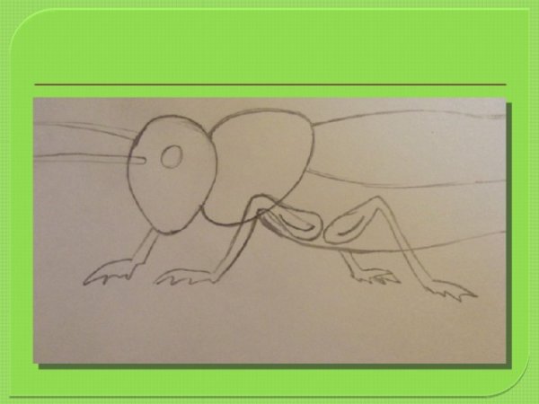 Рисование кузнечик подготовительная группа