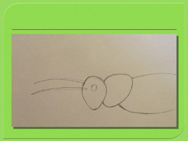 Рисовать по этапно