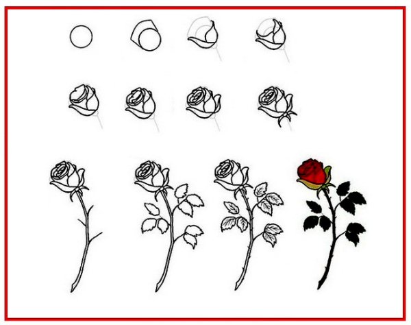 Как рисовать розу поэтапно