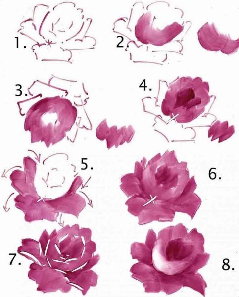 Схема рисования розы