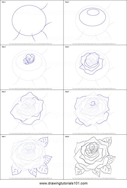 Роза рисунок пошагово
