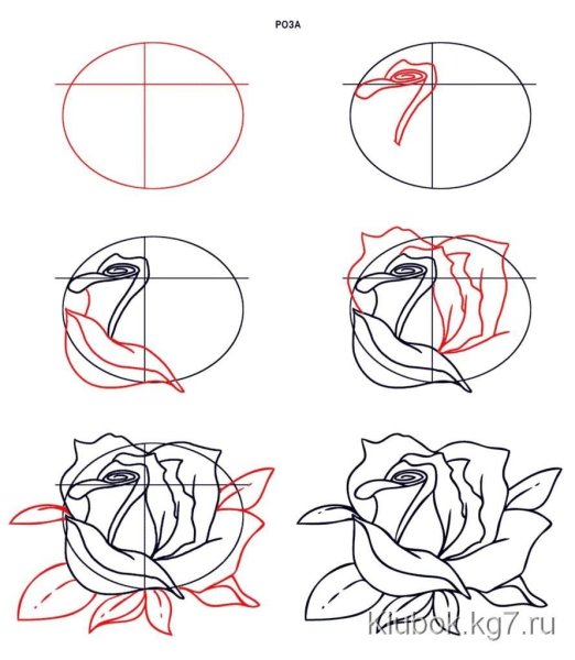 Поэтапное рисование розы карандашом