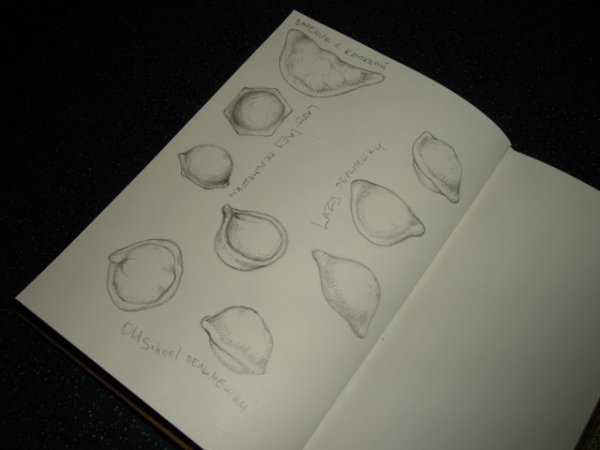 Эскиз пельменя