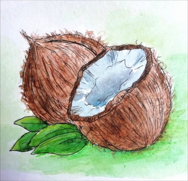 Рисование цветы для дошкольников