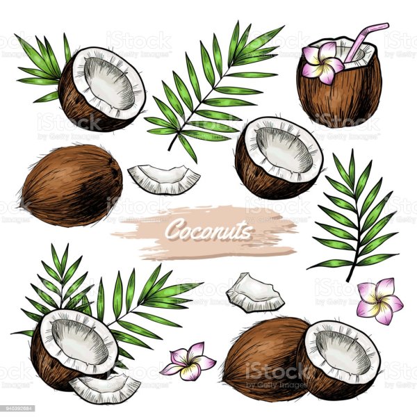 Поэтапное рисование василька