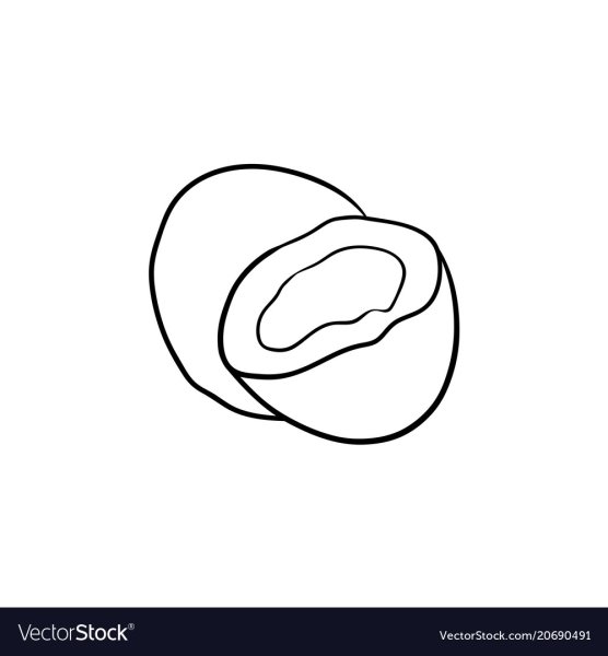 Поэтапное рисование василька