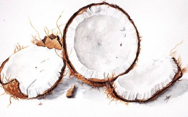 Как нарисовать Василек карандашом поэтапно для начинающих