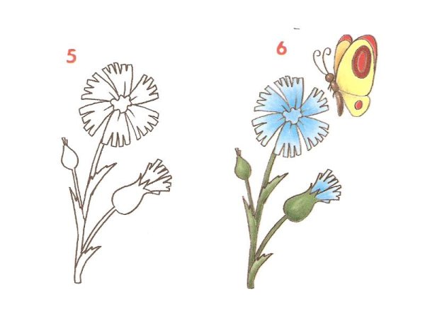 Этапы рисования цветов для дошкольников