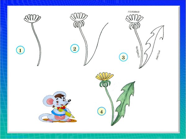 Поэтапное рисование цветов в старшей группе