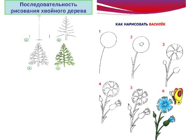 Поэтапное рисование одуванчика