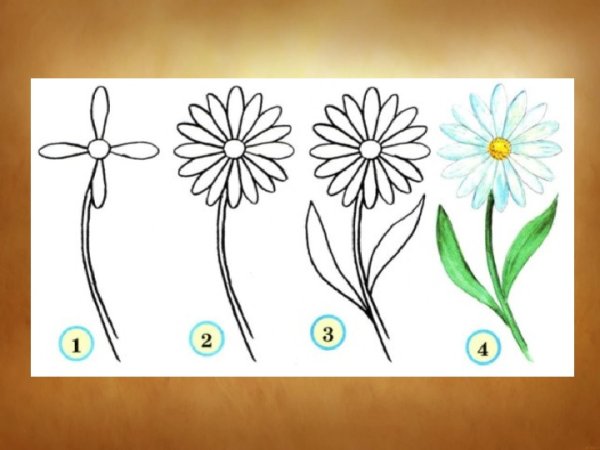 Рисование василька